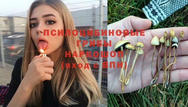 прущие крисы Саяногорск