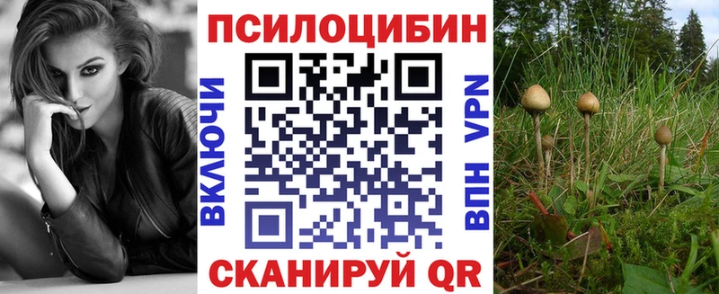 Псилоцибиновые грибы Psilocybine cubensis Азов